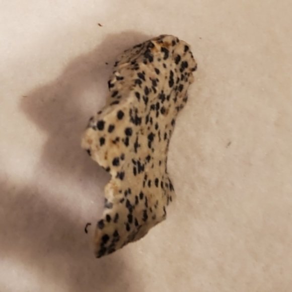 Natural Raw Dalmatian Jasper Gemstone #1 Stone - Picture 2 of 8